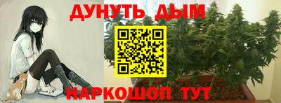 прущие грибы Аша
