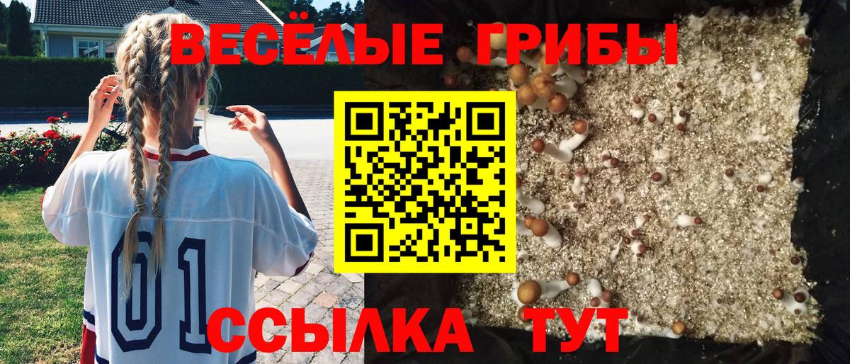 Галлюциногенные грибы Cubensis  Галлюциногенные грибы Psilocybe  Белово  Вход с VPN 